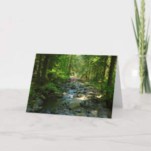 Carte Le ruisseau Laughwater au parc national Mount Rain
