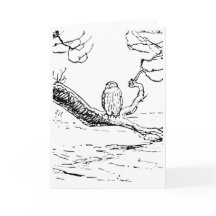 Le sage vieux hibou sur une branche
