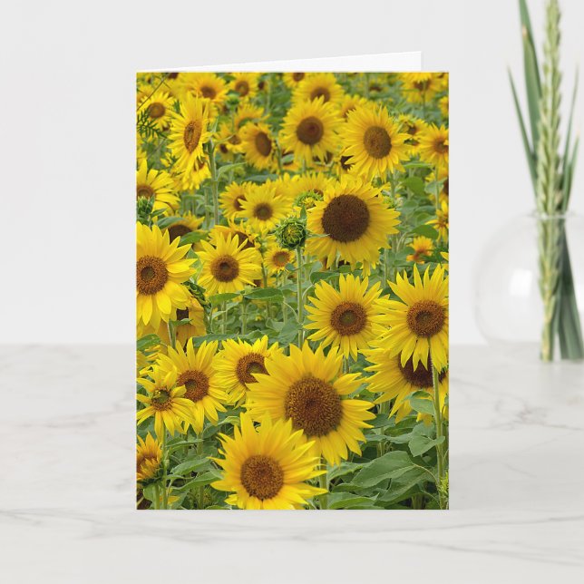 Carte Le terrain de tournesol d'anniversaire de l'ami (Devant)