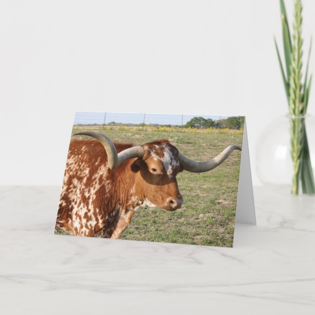 Carte Le Texas Longhorn (Devant)