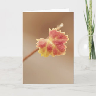 Carte Leaf automne