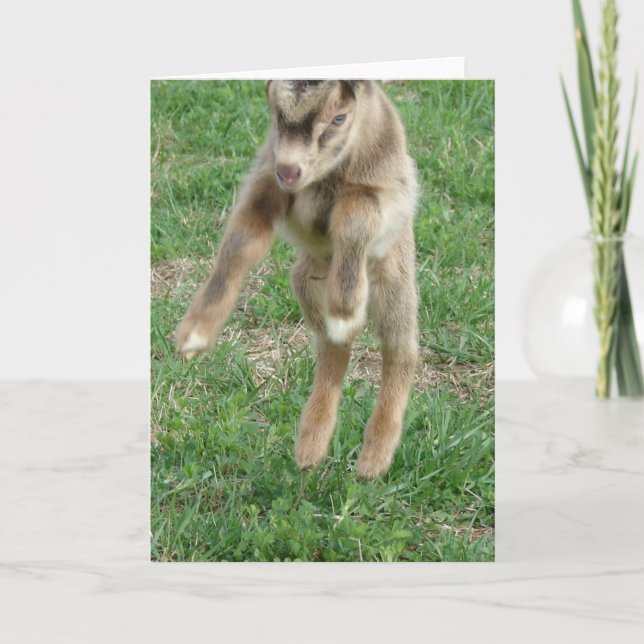 Carte Leap For Joy (Devant)