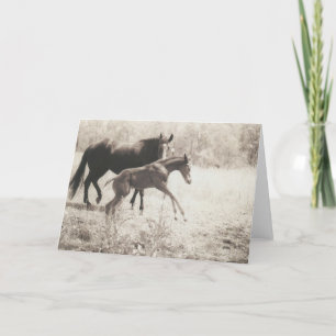 Carte Lecteurs directs