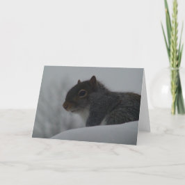 Carte L'écureuil en hiver