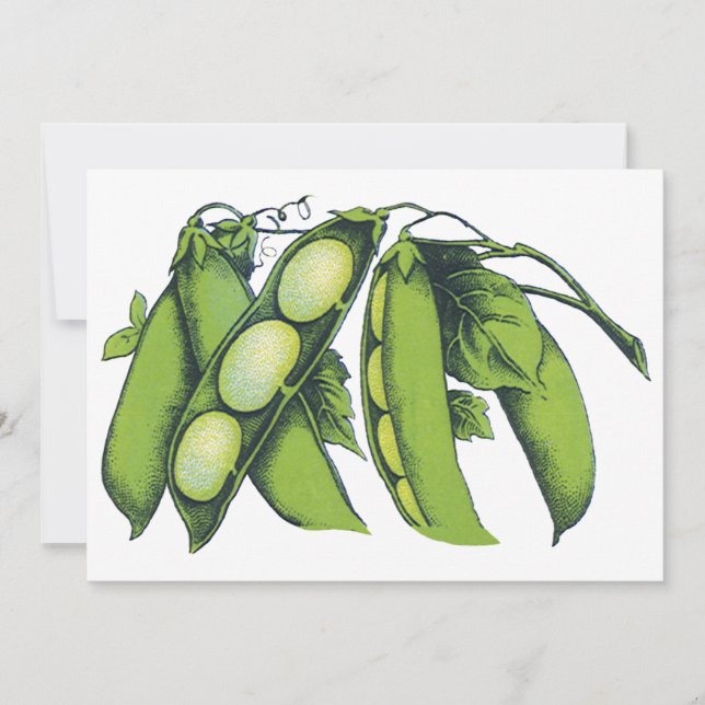 Carte Légumes vintages ; Haricots de Lima, Aliments Agri (Devant)