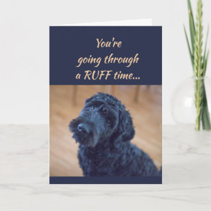 Carte L'encouragement obtiennent l'animal familier
