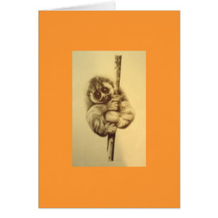 Carte lente de Loris - jaune