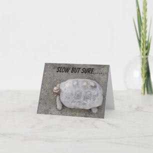 Carte LENTEMENT MAIS SÛR TURTLE ENVOIE *70ème ANNIVERSAI