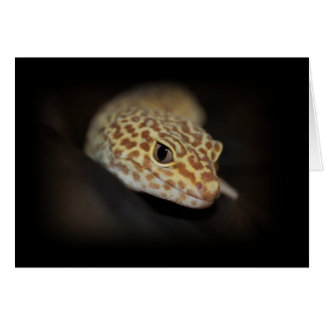 Carte Leopard Gecko