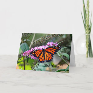 Carte l'épousant de félicitations du monarque 5100