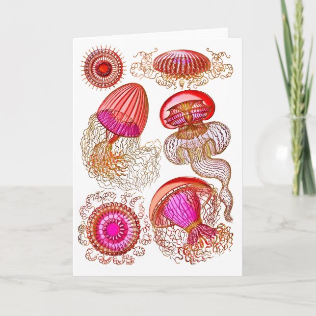Carte Leptomedusae de méduse en rose vif (Devant)