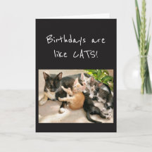 Les anniversaires sont comme le Humour des animaux