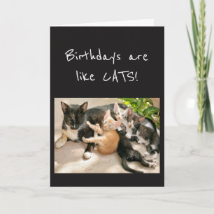 Carte Les anniversaires sont comme le Humour des animaux