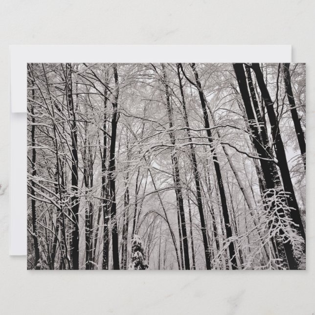 Carte Les arbres d'hiver (Devant)