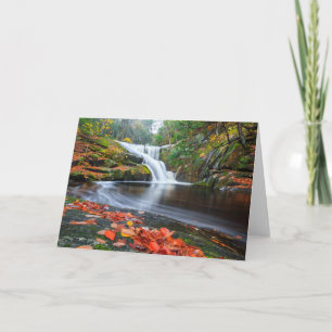 Carte Les automnes d'Ender dans l'automne