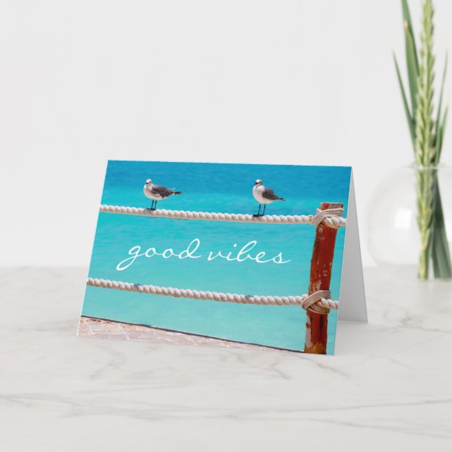 Carte Les bonnes violes citent les oiseaux de mer (Devant)