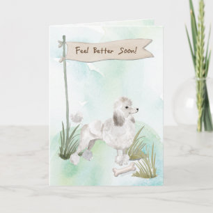 Carte Les canicules blanches se sentent mieux après la c