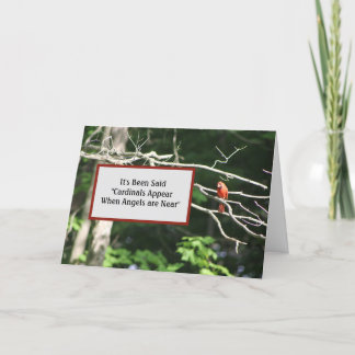 Carte Les Cardinaux Sont Près Des Anges Apparaissent