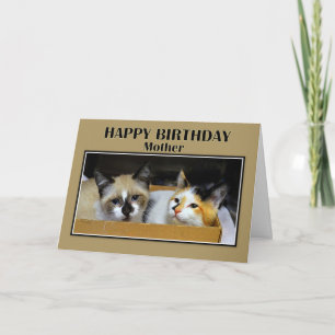 Carte Les chatons dans une boîte Mère Joyeux anniversair