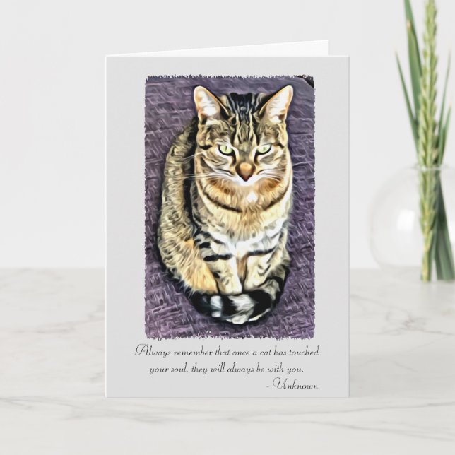 Carte Les chats ont touché votre âme Pet Sympathy Card (Devant)