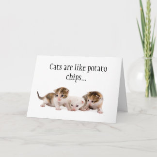 Carte Les chats sont comme des chips de pommes de terre 