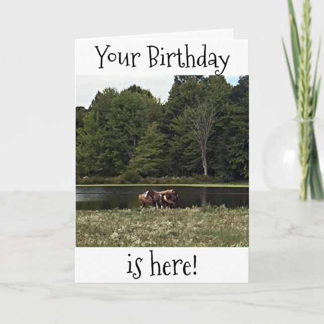 CARTE LES CHEVAUX À LA PASTURE SONT BONS POUR VOTRE ANNI (Devant)