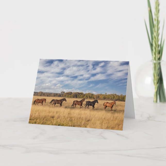 Carte Les Chevaux Juste En Dehors Du Parc National De Gr (Devant)
