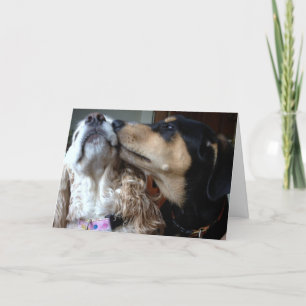 CARTE LES CHIENS DISENT VRAI AMOUR-TOUT CE DONT VOUS AVE