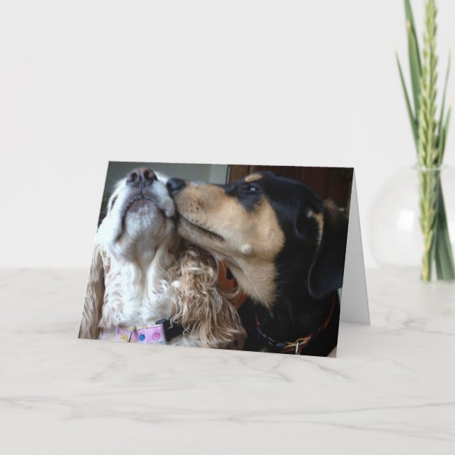 CARTE LES CHIENS DISENT VRAI AMOUR-TOUT CE DONT VOUS AVE (Devant)