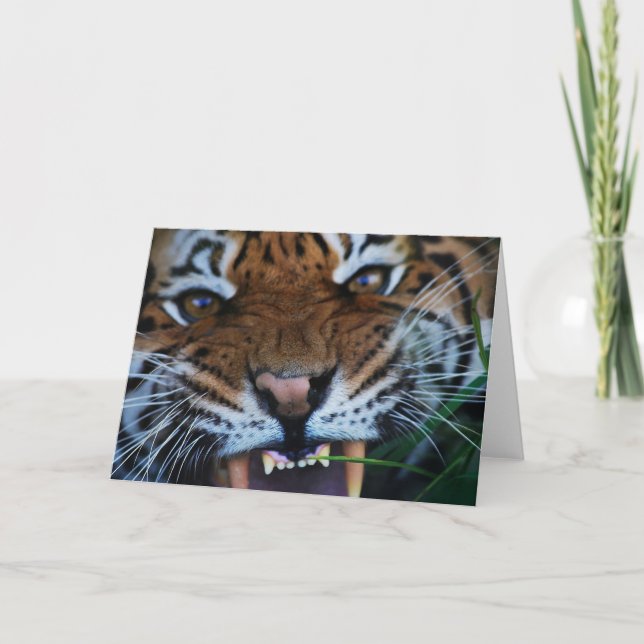 Carte Les crocs de tigre se ferment (Devant)
