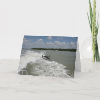 Carte Les dauphins surfant dans la foulée du bateau