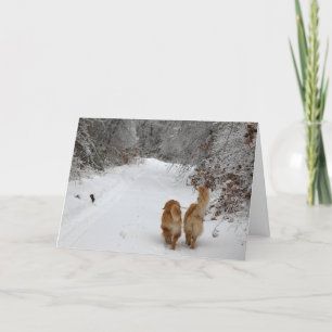 Carte Les Épouses de neige