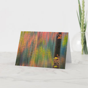 Carte Les érables   Parc d'état de Silver Falls