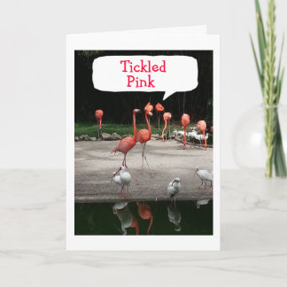 CARTE LES FLAMANTS ROSES D'OBSERVATION D'ANNIVERSAIRE SO