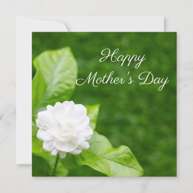 Carte Les fleurs de jasmin sont en vert fête des mères (Devant)