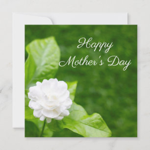 Carte Les fleurs de jasmin sont en vert fête des mères