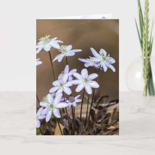 Carte Les Fleurs sauvages du printemps pourpre pensent à (Devant)