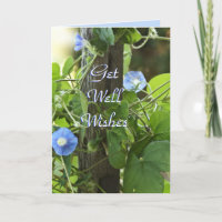 Les gloires de matin bleues customisent n'importe