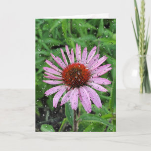Carte Les gouttes de pluie sur la fleur de cône