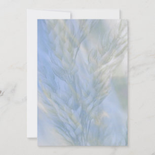 Carte Les graines de la vie