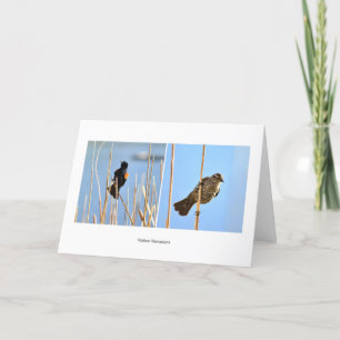 Carte Les habitants du Nevadan. Oiseaux. Photographie de