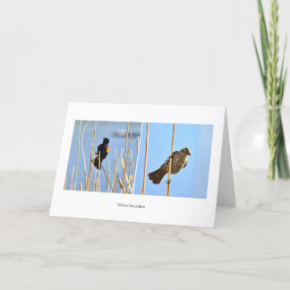Carte Les habitants du Nevadan. Oiseaux. Photographie de