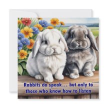 Les Lapins Parlent Le Lapin Accumulé Lop