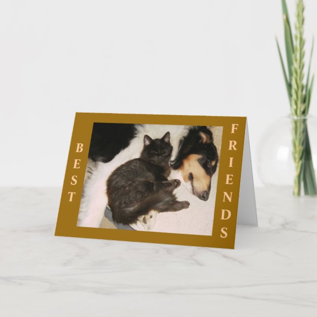 CARTE LES MEILLEURS AMIS POUR TOUJOURS ! (Devant)