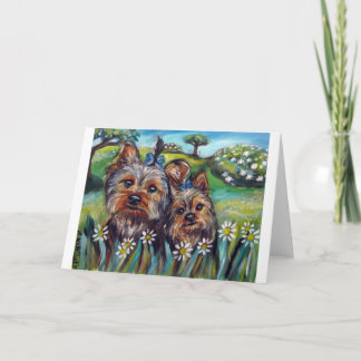 Carte Les meilleurs bourgeons Lucy et Milly de Yorkie
