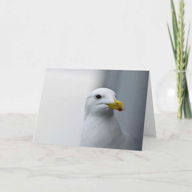 Carte Les mouettes ont aussi besoin d'amour (Devant)