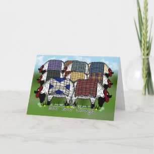Carte Les moutons du jour de St Andrew - voir la brebis