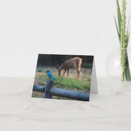 Carte Les oiseaux et les cerfs s'entendent malgré leurs