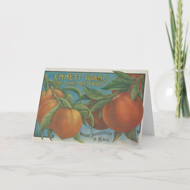 Carte Les pêches (Devant)