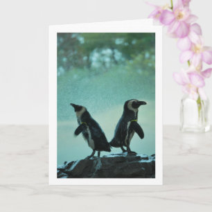 Carte Les pingouins sur le portrait de rock